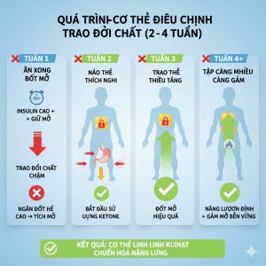 Ăn kiêng bao lâu thì cơ thể mới thích nghi