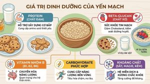 Giá trị dinh dưỡng của yến mạch với protein, chất xơ và vitamin
