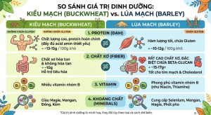 gia-tri-dinh-duong-kieu-mach-lua-mach