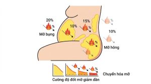Ngồi lâu làm giảm khả năng đốt mỡ của cơ thể