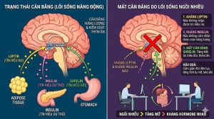 Ngồi lâu gây rối loạn hormone insulin và cảm giác đói no