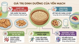 Thành phần dinh dưỡng trong yến mạch như chất xơ, protein và khoáng chất